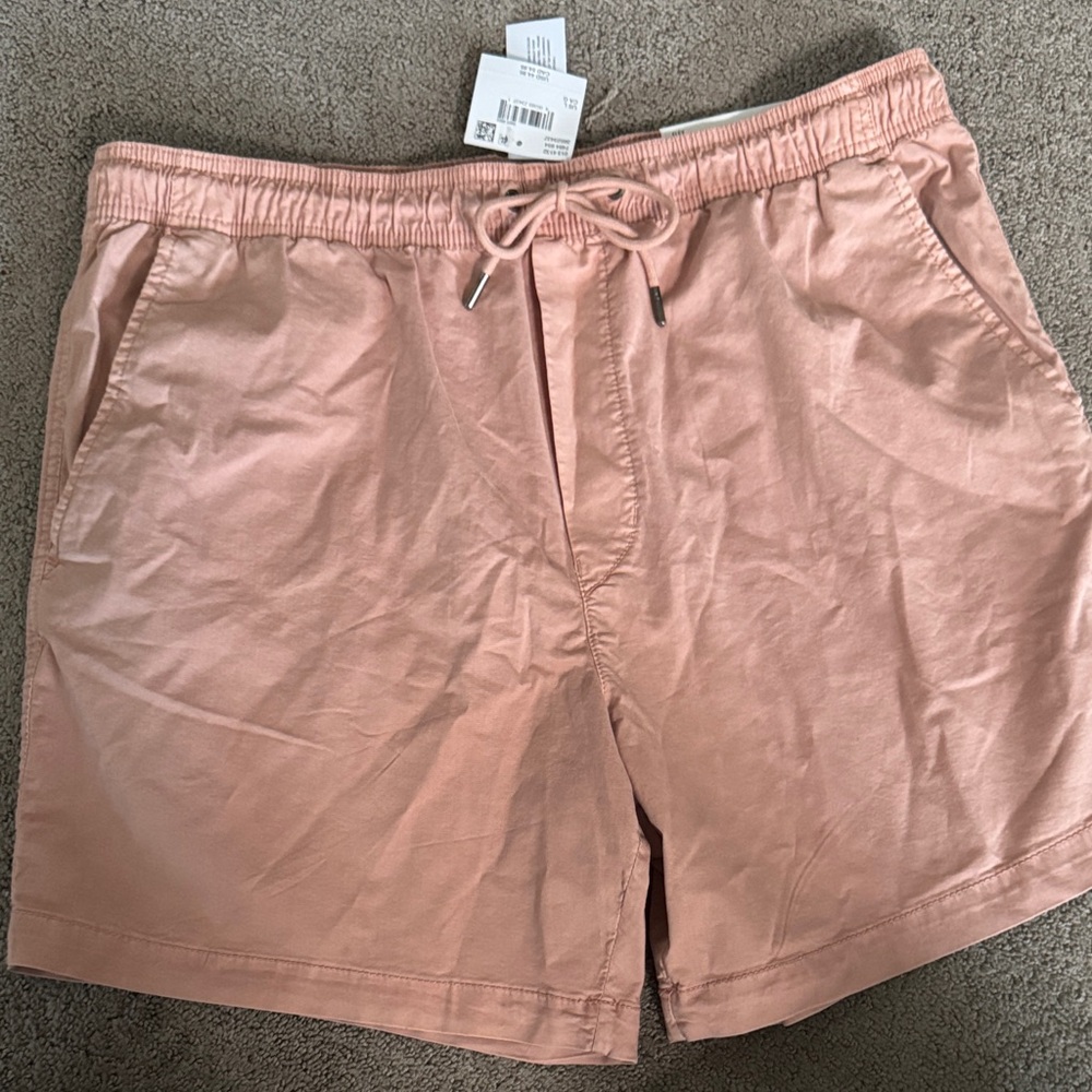 American Eagle Outfitters Trekker Shorts NWT AE